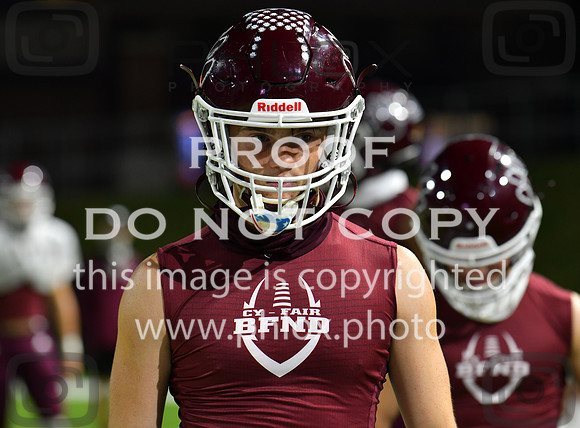 DLS_5293