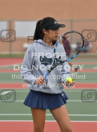 DLS_2926