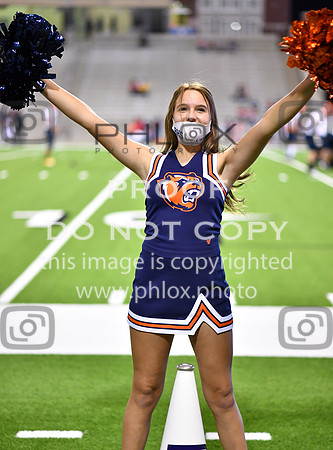 ND5_4198