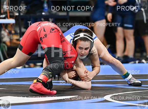 DLS_0507
