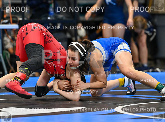 DLS_0508