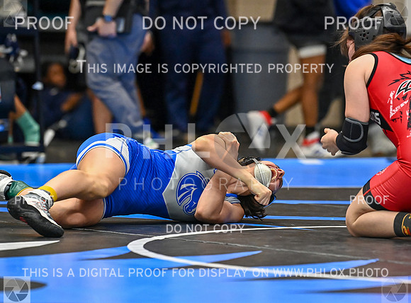 DLS_0510