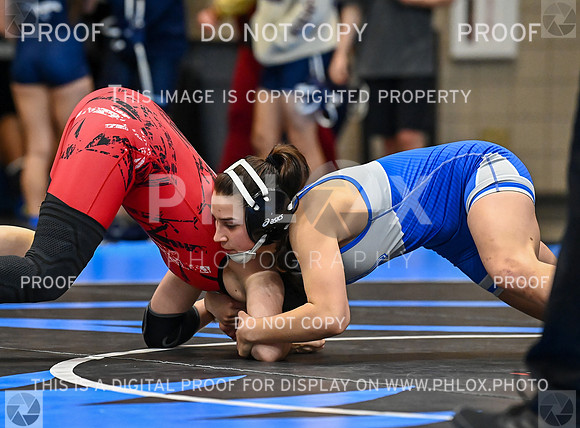DLS_0505