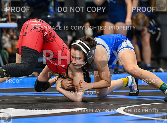 DLS_0509