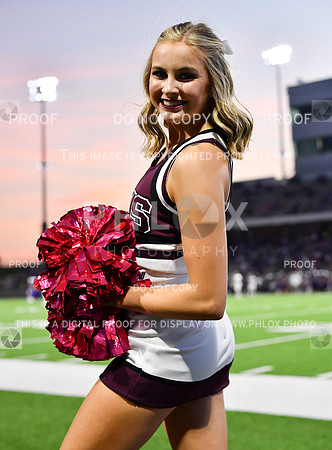 FDS_5618