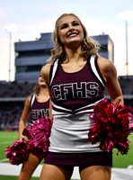 FDS_5440