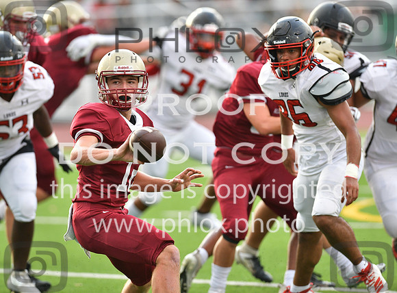 TOM_1542