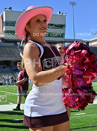 DLS_3936
