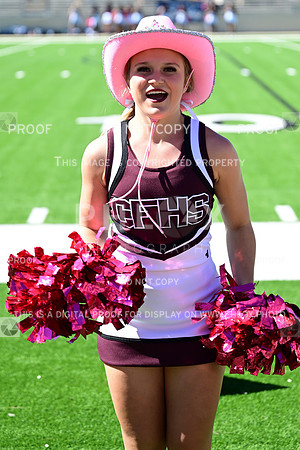 TOM_5279