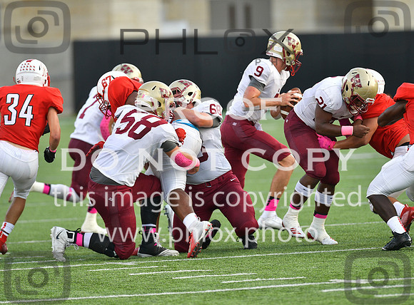TOM_5181
