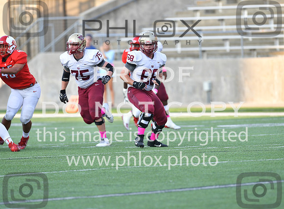 TOM_4655