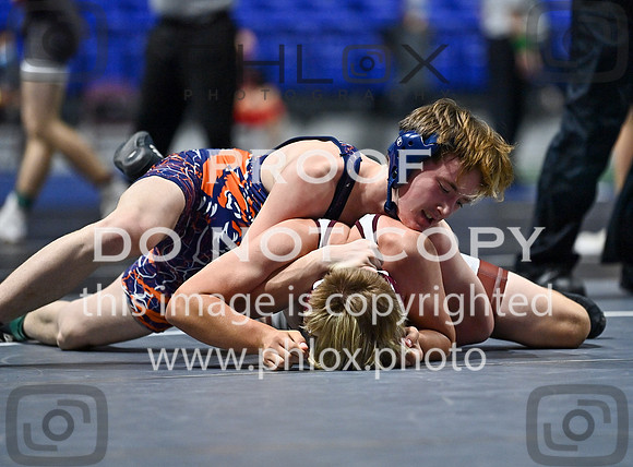 DLS_4190