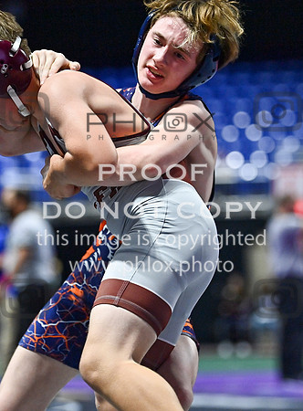 DLS_4171