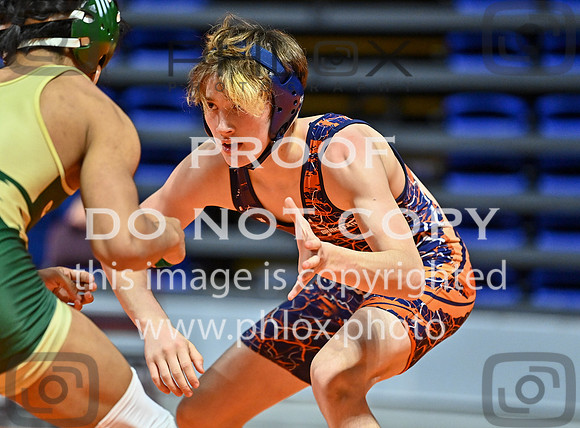 DLS_3192