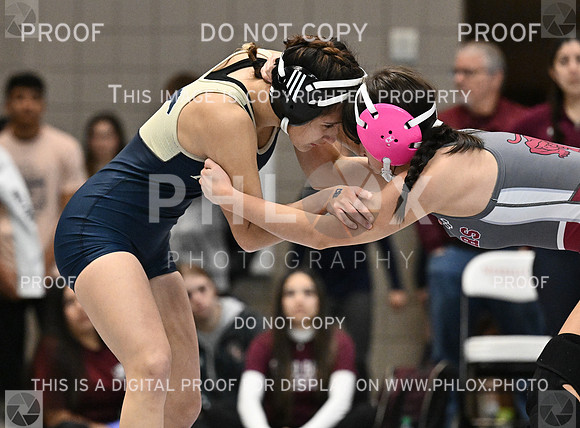 DLS_3236