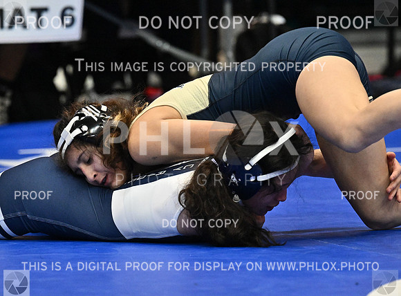 DLS_5343