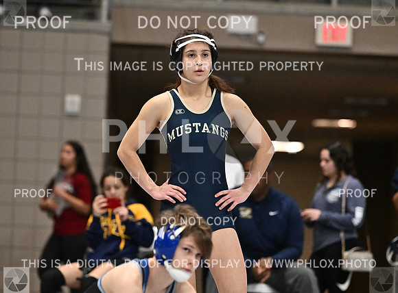 DLS_4696