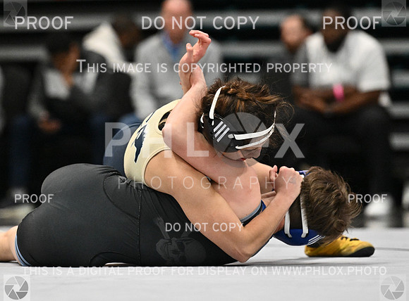 DLS_4715