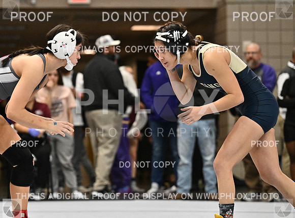 DLS_3208