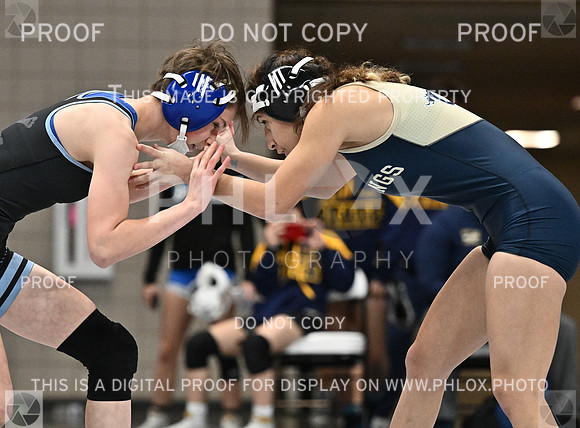 DLS_4673