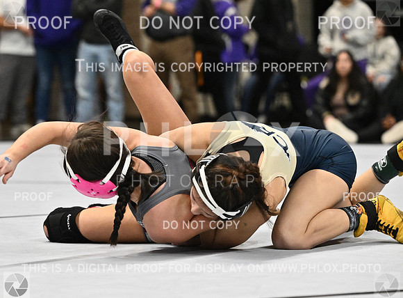DLS_3319