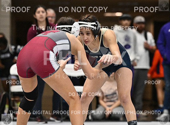 DLS_3233