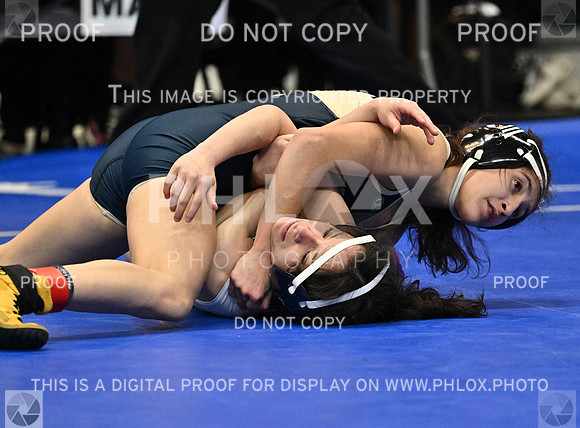 DLS_5349
