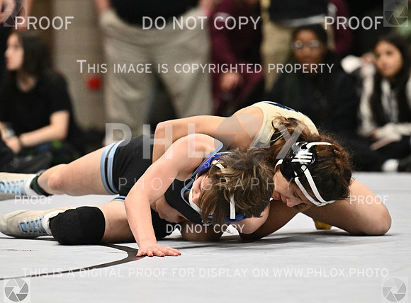 DLS_4705