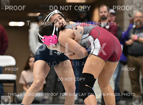 DLS_3260