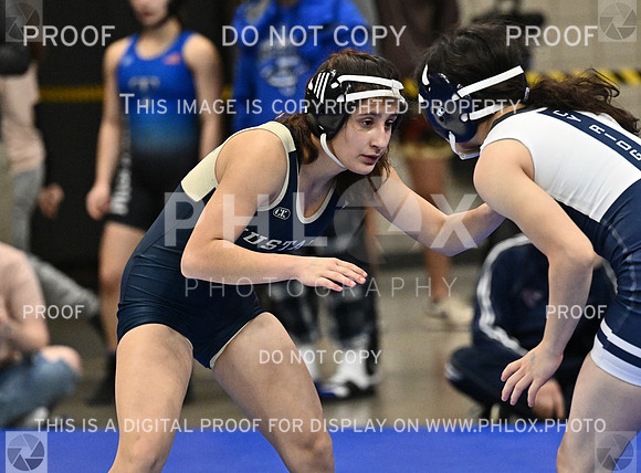 DLS_5316