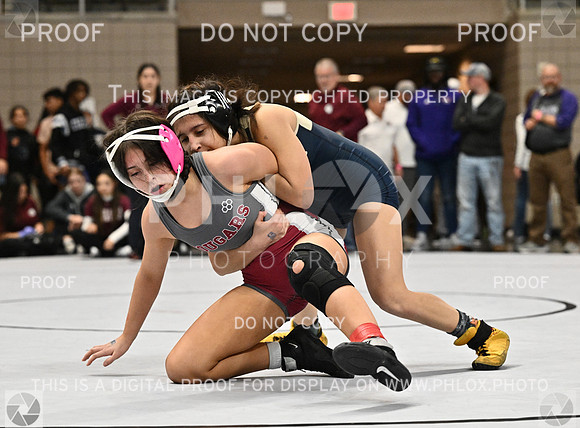 DLS_3326