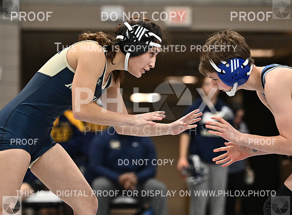 DLS_4671