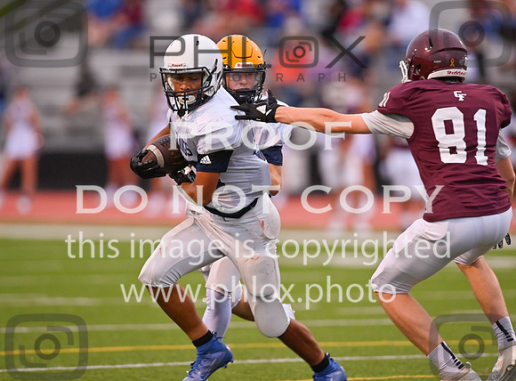 DLS_1605