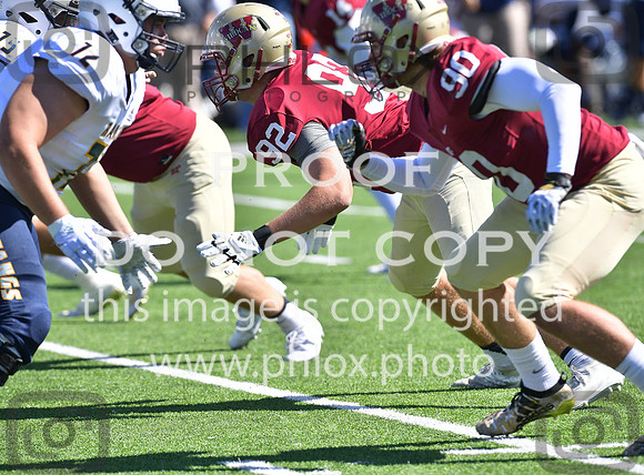 TOM_0869