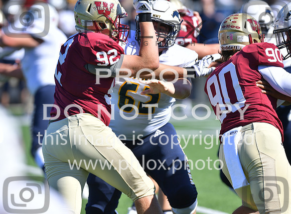 TOM_1341