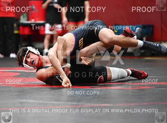 DLS_1252