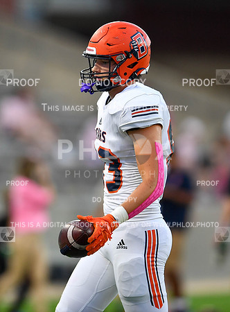DUS_2453