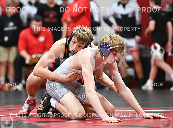 DLS_0960