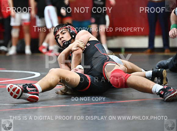 DLS_0851-2
