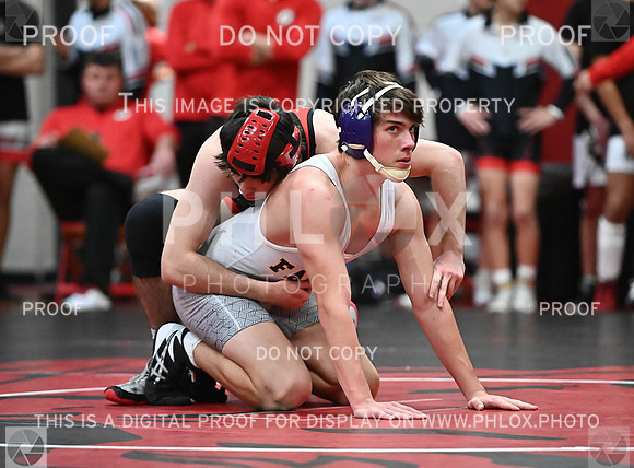 DLS_1128