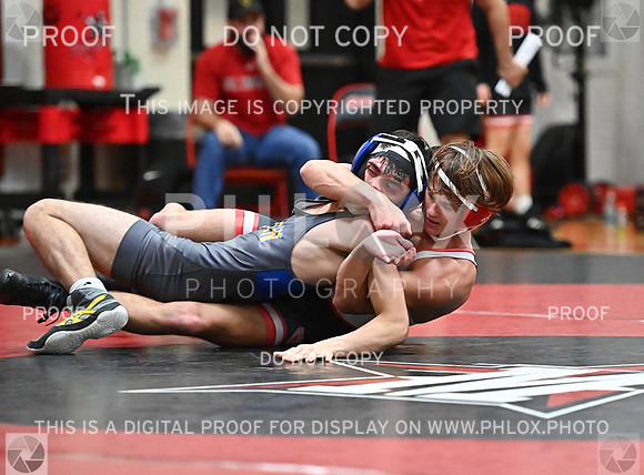 DLS_1019