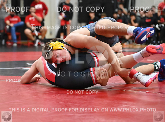 DLS_1201