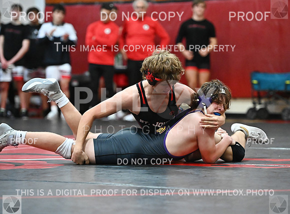 DLS_1169