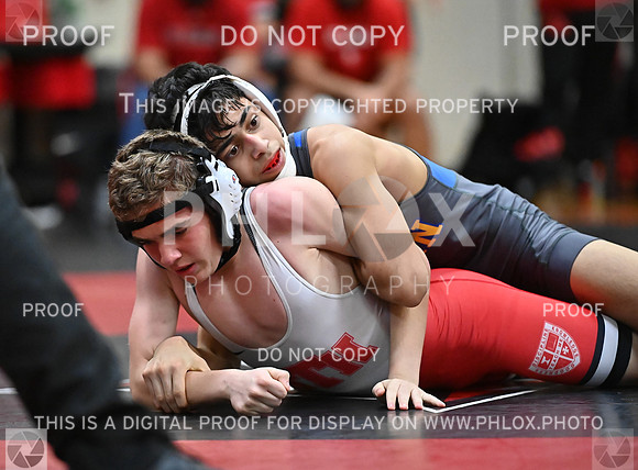 DLS_0786