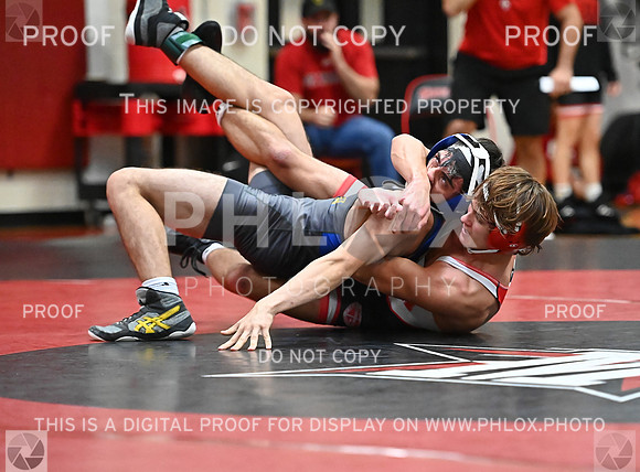 DLS_1013