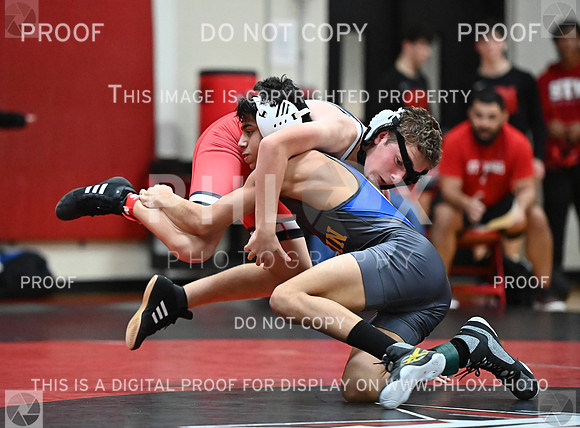 DLS_0770