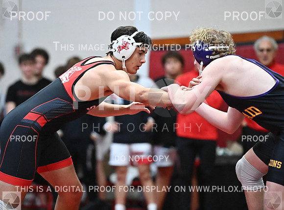 DLS_1222