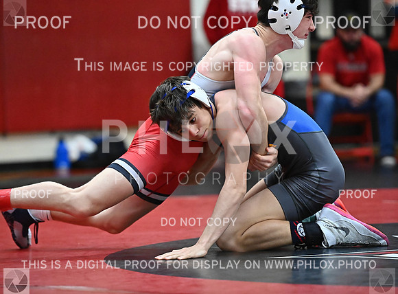 DLS_1096
