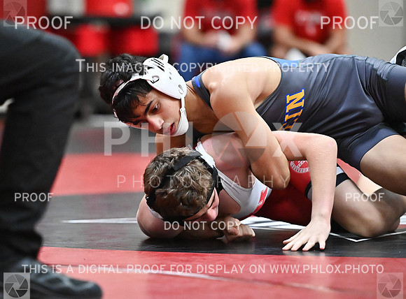 DLS_0790