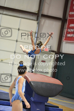 D85_0354